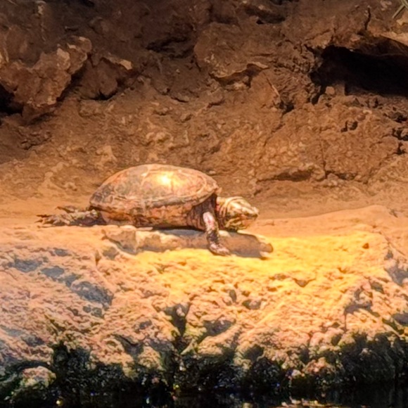 Meet your Posher, Mary - Picture 16 of 16